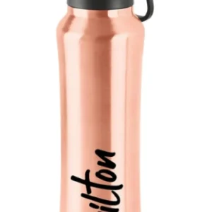 gulp thermosteel bottle (milton)